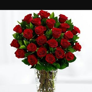 Meet your Posher, Rachele