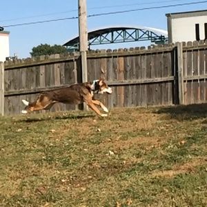 Meet your Posher, Alex