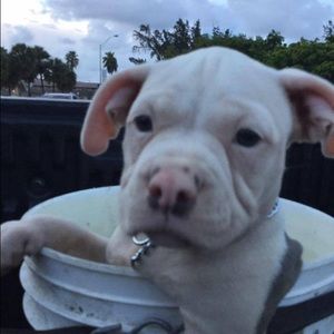 Meet your Posher, Jose