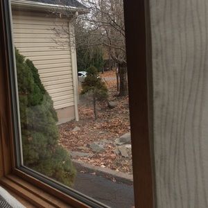 Meet your Posher, Corinne