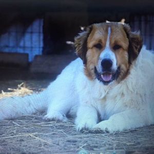 Meet your Posher, Christi