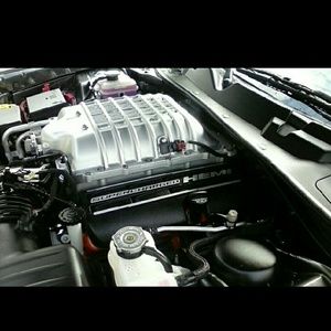 Meet your Posher, Ronald