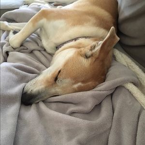 Meet your Posher, Janelle