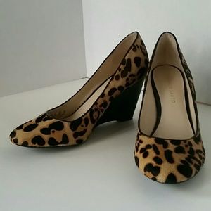 Franco Sarto  Helio2