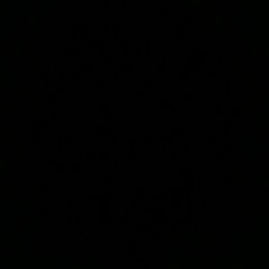 Meet your Posher, Jermaine