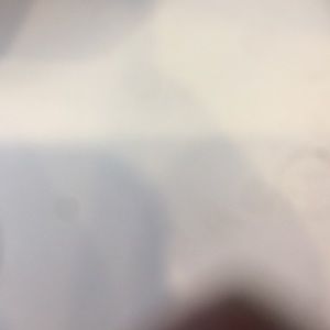 Meet your Posher, Alexander