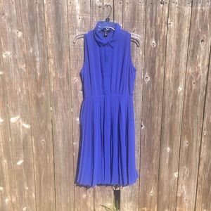 Blue collared dress