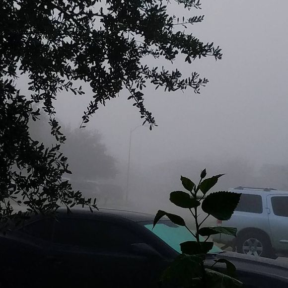 Meet your Posher, Jacob - Picture 1 of 1