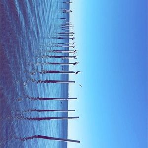 Meet your Posher, Lexi