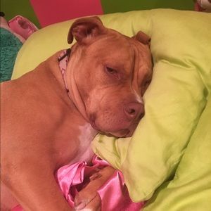 Meet your Posher, Patricia