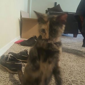 Meet your Posher, Steven