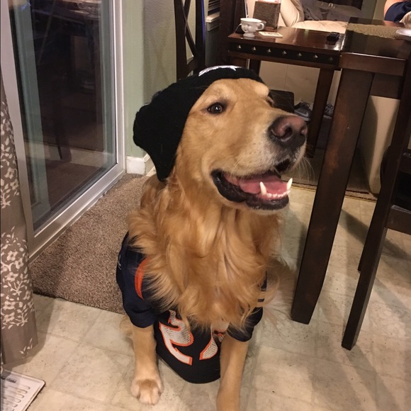 Meet your Posher, Josh - Picture 1 of 1