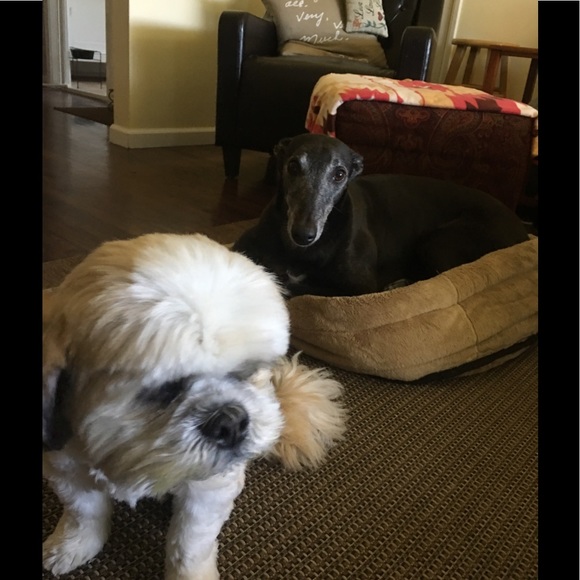 Meet your Posher, Carla - Picture 4 of 8