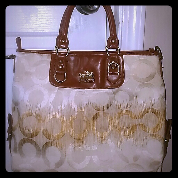 Large Purse