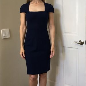 Banana Republic Navy Sloan Dress