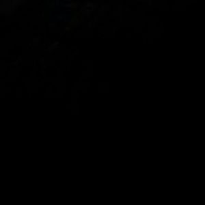 Meet your Posher, Audrey