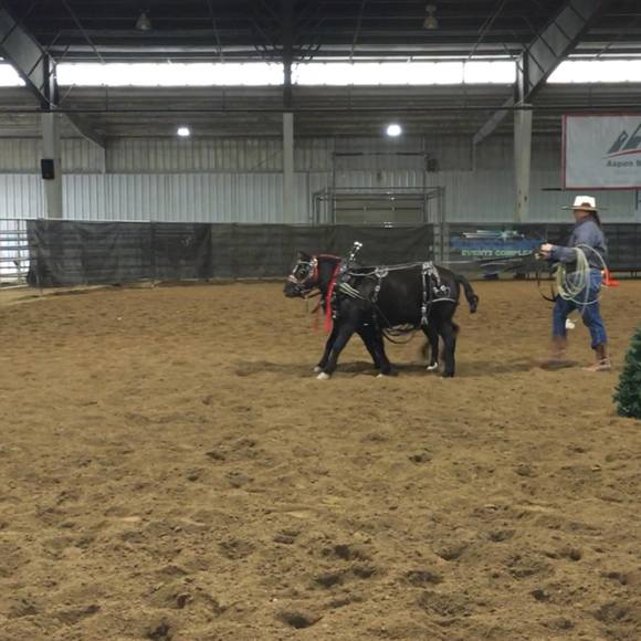 Meet your Posher, Jennifer - Picture 3 of 6