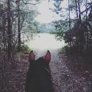 Meet your Posher, Darrius