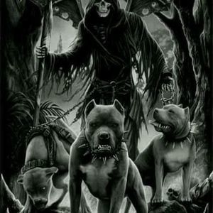 Meet your Posher, Derrick