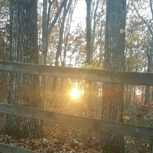 Meet your Posher, Caitlyn