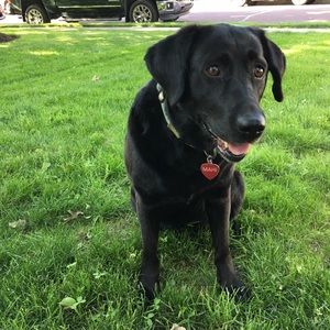 Meet your Posher, Donna