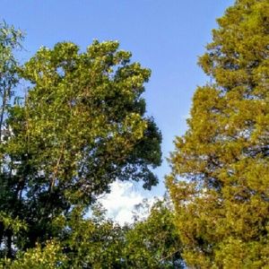 Meet your Posher, atdiscount