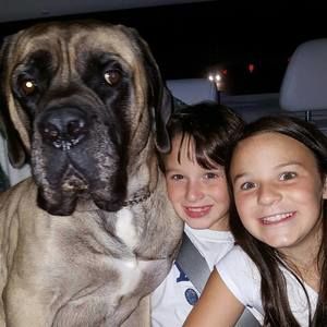 Meet your Posher, Liane