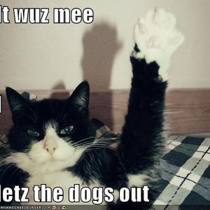 Meet your Posher, Dee