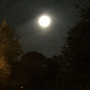 Meet your Posher, Milton