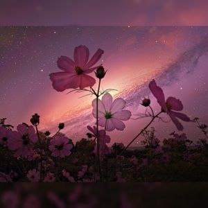 Meet your Posher, Nadia