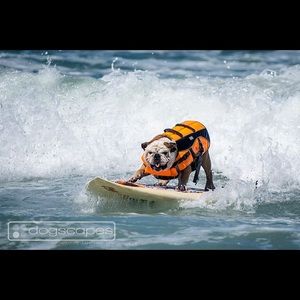 Meet your Posher, Georgia