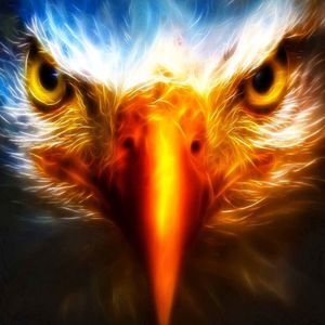 Meet your Posher, Jerald