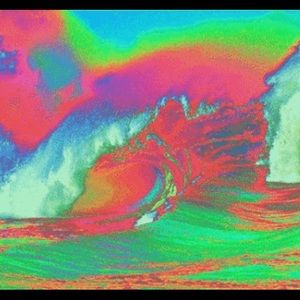 Meet your Posher, Brody