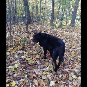 Meet your Posher, Tina