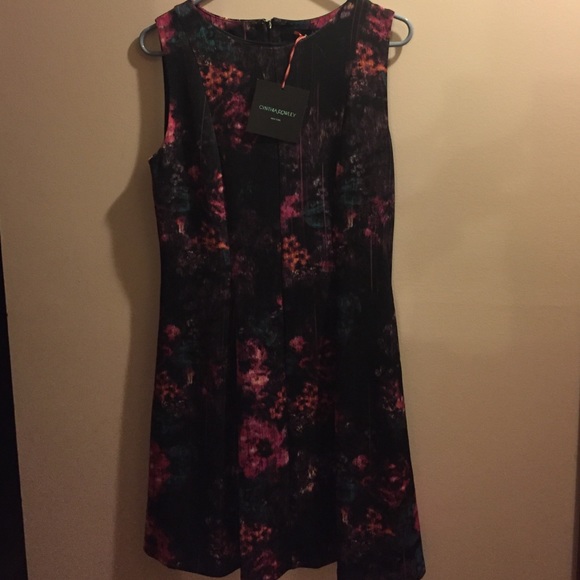 NWT Cynthia Rowley dress. Beautiful colors!