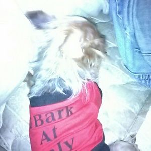 Meet your Posher, Martha