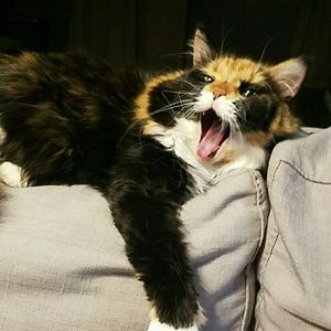 Meet your Posher, Courtney