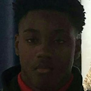 Meet your Posher, Tamare