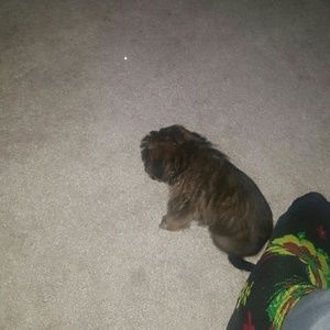 Meet your Posher, Jamel