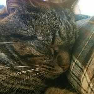 Meet your Posher, Kellie