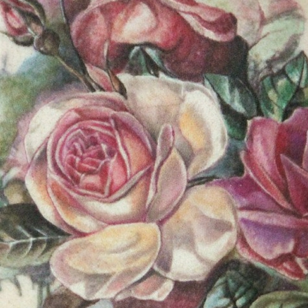 Meet your Posher, Chlorissa