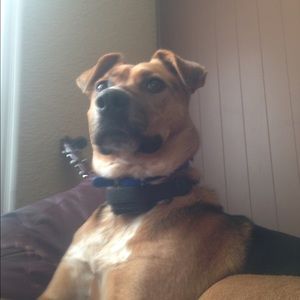 Meet your Posher, Chad