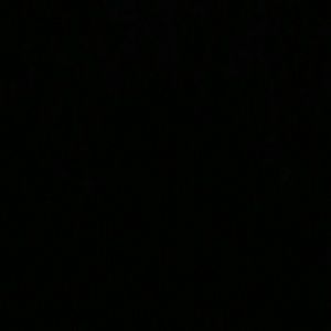 Meet your Posher, Maya