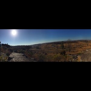 Meet your Posher, Delaney