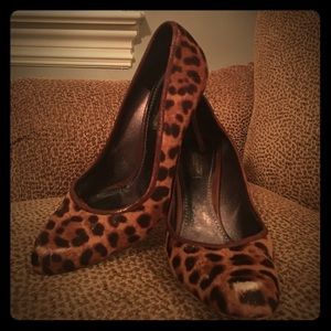 Dolce & Gabbana Leopard Pumps