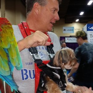 Meet your Posher, Carolyn