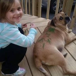 Meet your Posher, Nicole