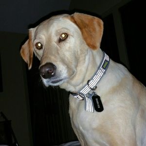 Meet your Posher, Kendall