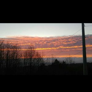 Meet your Posher, Selina