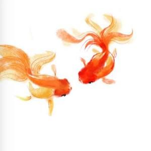 Meet your Posher, Ariel